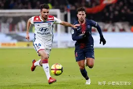 开云手机登录入口-奥萨苏纳球星