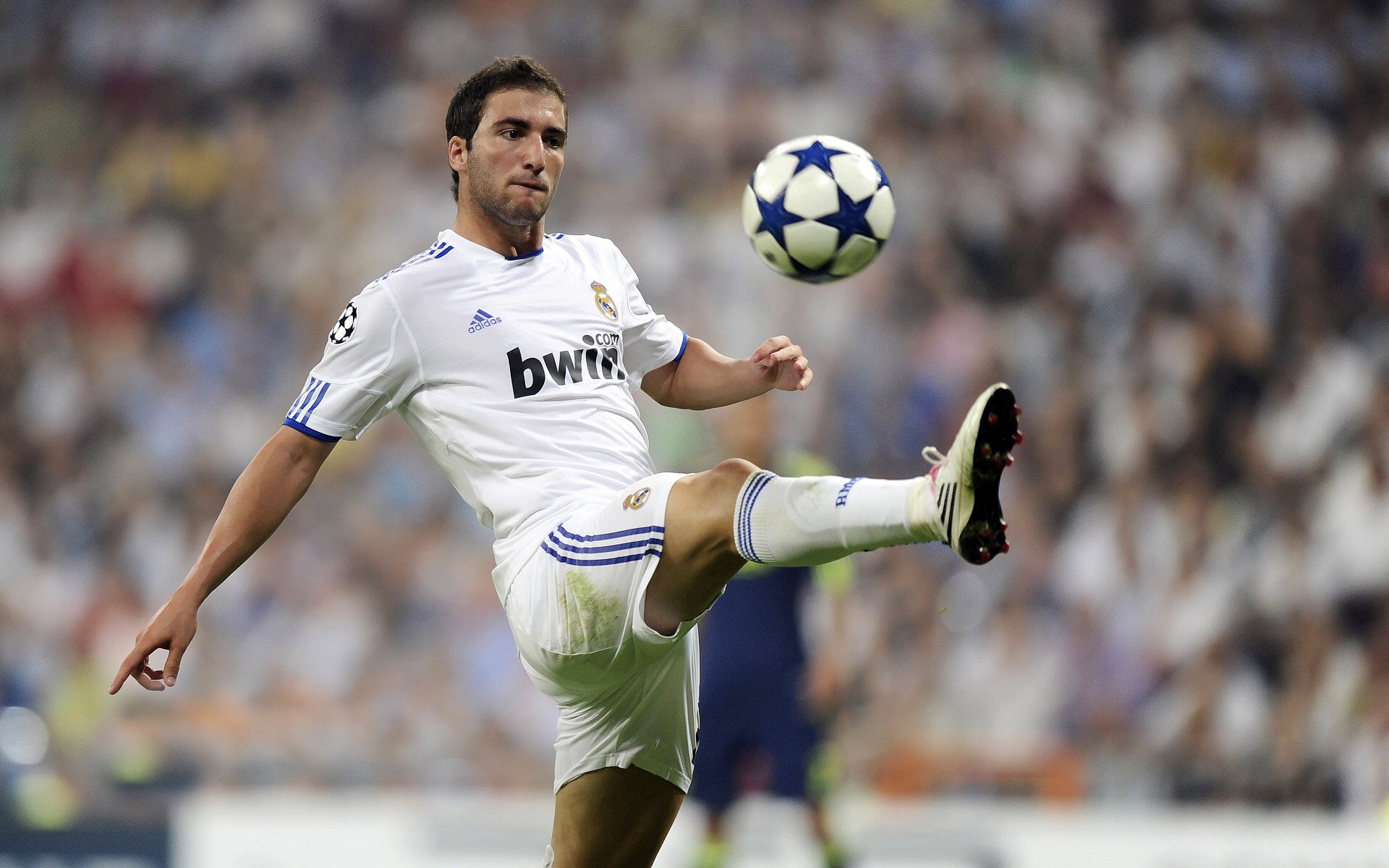 开云手机在线登陆-曼城对纽卡斯尔