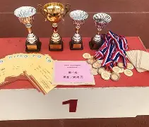 开云手机登录入口-体育两大赛事